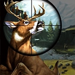 เกมส์นายพรานล่ากวาง Deer Hunter