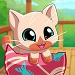เกมส์เลี้ยงแมวแสนน่ารัก My Pocket Pets: Kitty Cat
