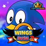 เกมส์โซนิควิ่งเก็บวงแหวน Wings Rush 2