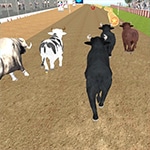 เกมส์วิ่งแข่งวัวกระทิง Angry Bull Racing