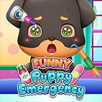 เกมส์ปฐมพยาบาลลูกหมา Funny Puppy Emergency