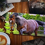 เกมส์จิ๊กซอว์ม้าน่ารัก Jigsaw Puzzle Horses Edition