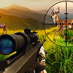 เกมส์นายพรานยิงสัตว์ป่า Wild Hunter Sniper Buck