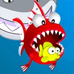 เกมส์ปลาใหญ่กินปลาเล็ก Fish Crunch