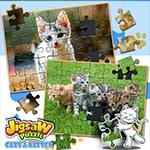 เกมส์จิ๊กซอว์แมวเหมียว Jigsaw Puzzle Cats & Kitten