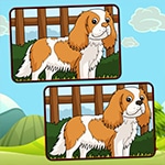 เกมส์จับผิดภาพน้องหมา Dogs Spot The Differences