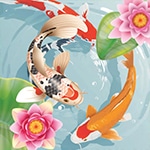 เกมส์เลี้ยงปลาเก็บเหรียญ Koi Fish Pond – Idle Merge Game