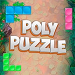 เกมส์วางบล็อกพัซเซิล Polypuzzle