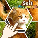 เกมส์สลับจิ๊กซอว์ลับสมอง Sort Photograph