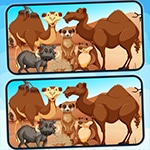 เกมส์จับผิดภาพทะเลทราย Spot 5 Differences Deserts