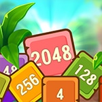 เกมส์รวมบล็อคตัวเลข Tropical Cubes 2048